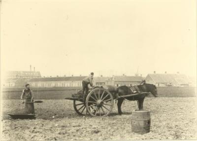 Landbouwer met paardenkar op veld achter Brepols fabrieken