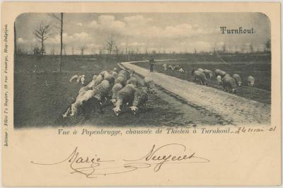 Turnhout. Vue à Papenbrugge, chaussée de Thielen à Turnhout