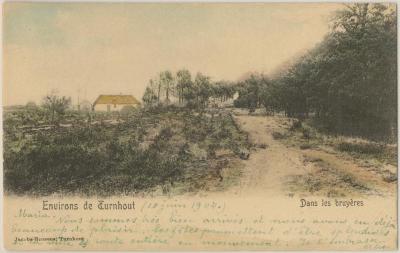 Environs de Turnhout Dans les bruyères