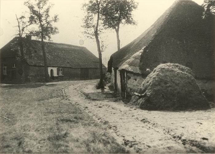 Hoeve en schuur te Schoor