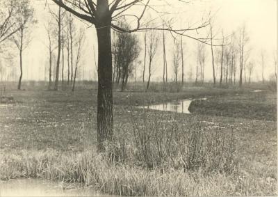 Landschap met de Aa (Papenbrugge)