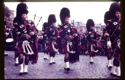  Lowland Pipers