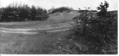 Zandheuvel in Vosselaar De konijnenberg