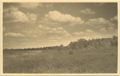 Landschappen / ongeïdentificeerd