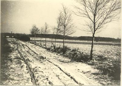 Landschappen / ongeïdentificeerd