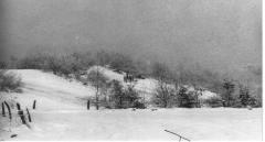 Winter op de konijnenberg