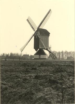 Horzeleind / Standaard windmolen