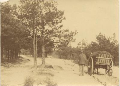 Zandweg / Man met boerenkar en paard