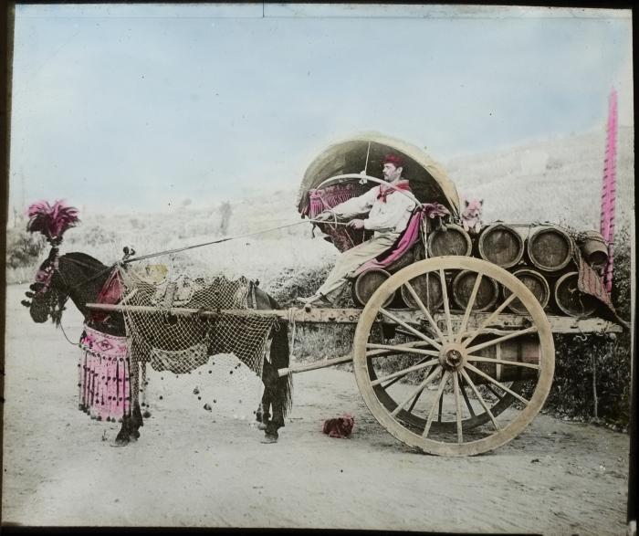 Rome: [marchand] de Vin