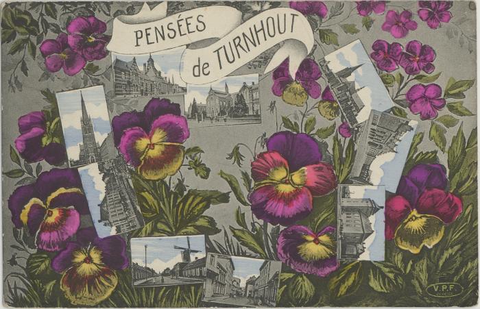 Pensées de TURNHOUT