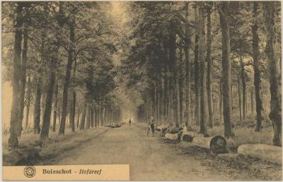 Boisschot - Hofdreef