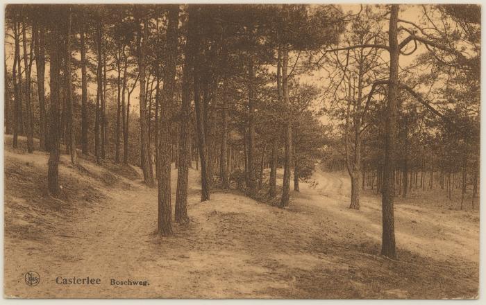 Casterlee Boschweg
