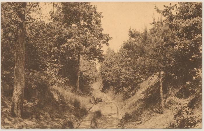 Kasterlee Holle weg "Goor".