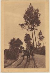 Vers le moulin. Thielen.