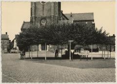 Retie Eeuwenoude Lindenboom gerangschikt als monument in 1953, meer dan 500 jaar oud.