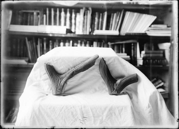 Voorwerpen uit Taxandria museum 