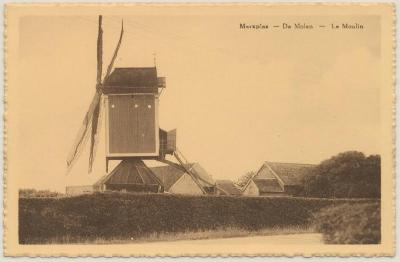 Merxplas - De Molen - Le Moulin