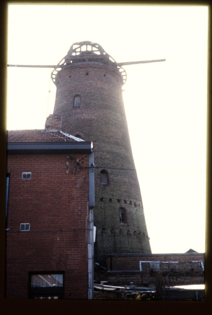 Molen - Molen oost