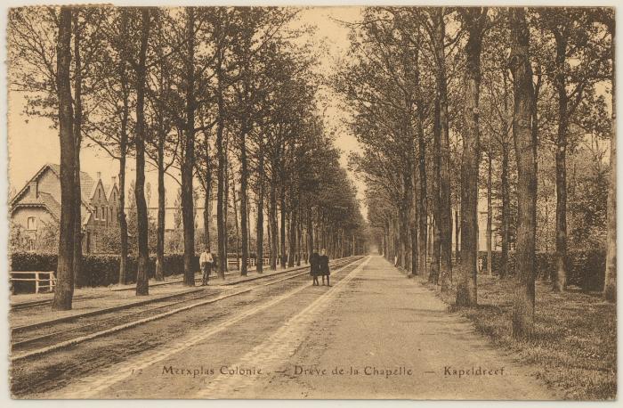 Merxplas Colonie. - Drève de la Chapelle - Kapeldreef