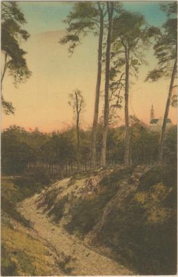 Averbode Em (sic) holleweg in 't bosch - Un chemin creux dans le bois