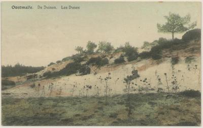 Oostmalle. De Duinen. Les Dunes