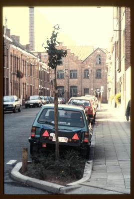 Dierckxstraat - Uitvleugeling met boom