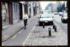 De Merodelei - Tweede deel paaltjes