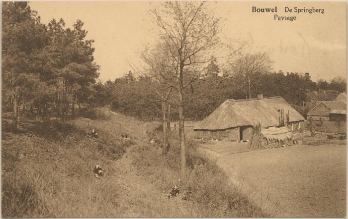 Bouwel De Springberg Paysage