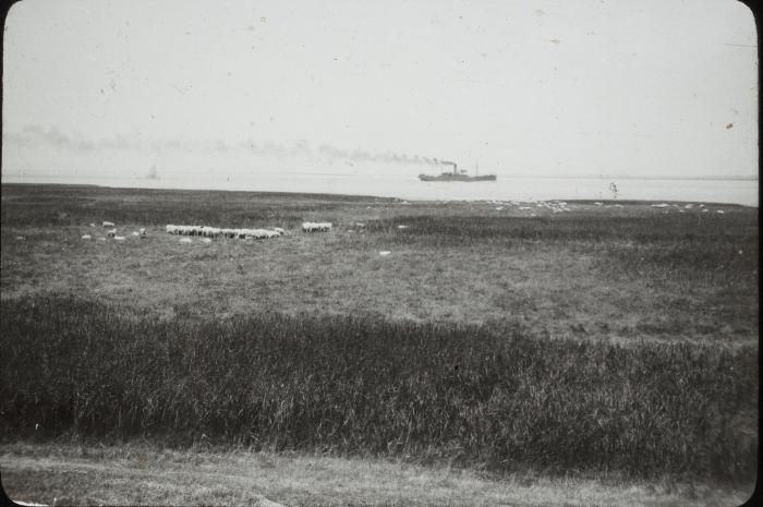 Saeftingen P.V.Hal 1932