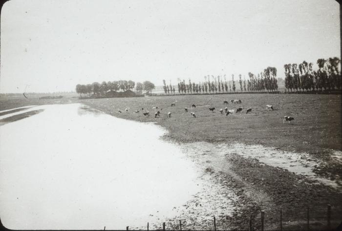 Dijk Grauw P.V.Hal 19[33]