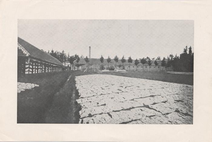 Blekerijen /Van der Heyden-Borghs (Klein Engeland)