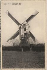 Geel Oude Molen 1600. Vieux Moulin 1600.