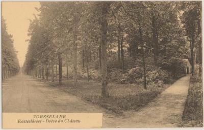 Vorsselaer Kasteeldreef - Drève du Château