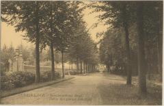 Vorsselaer - Boschwachters dreef Drèe des gardes forestiers