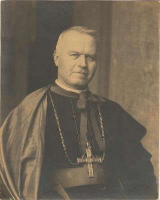 Portret Kardinaal v. Roey