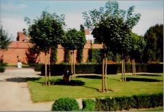 Tentoonstelling Luc Van Soom tuin Taxandria, 10 september - 14 november 1999 Taxandriamuseum