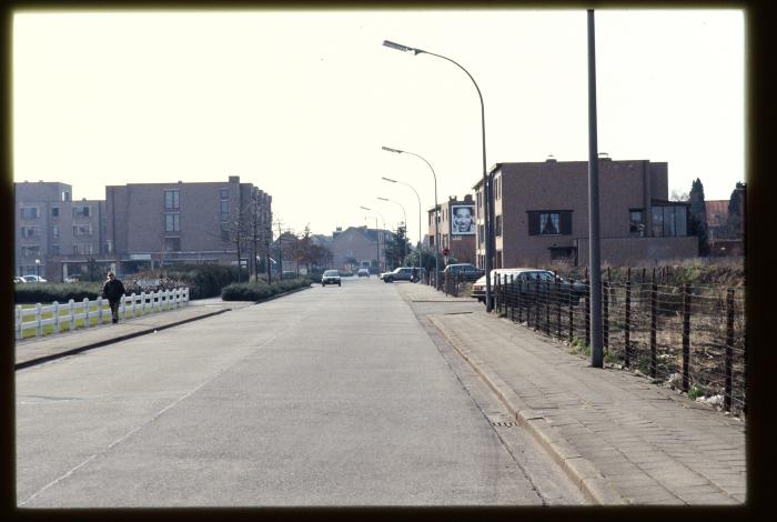 Albert Van Dyckstraat