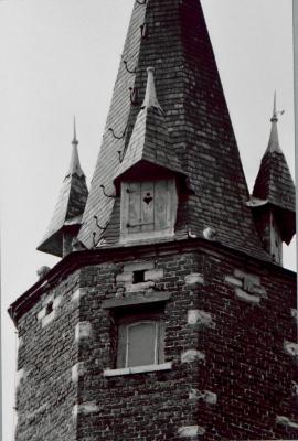 Het "Huis Metten Thoren" voor de restauratie rond 1980/ Nu het Taxandriamuseum