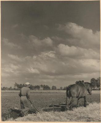 Landbouwer ploegt met paard