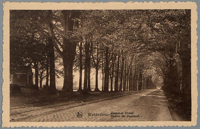 Westerloo Zammeldreef. Drève de Zammel.
