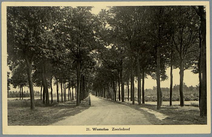 Westerlo Zoerledreef