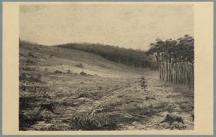 Omstreken - Westerloo - Environs. Woestenij - Hertberg - Solitude. (d'après le tableau de Louis Wilmet).