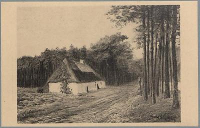 Omstreken - Westerloo - Environs. Huis in 't bosch - Hulst - Maison dans le bois. (d'après le tableau de Louis Wilmet).