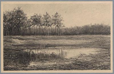 Omstreken - Westerloo - Environs. Moeras - Roode Visch - Marais. (d'après le tableau de Louis Wilmet).