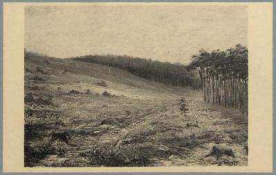 Omstreken - Westerloo - Environs. Woestenij - Hertberg - Solitude. (d'après le tableau de Louis Wilmet).