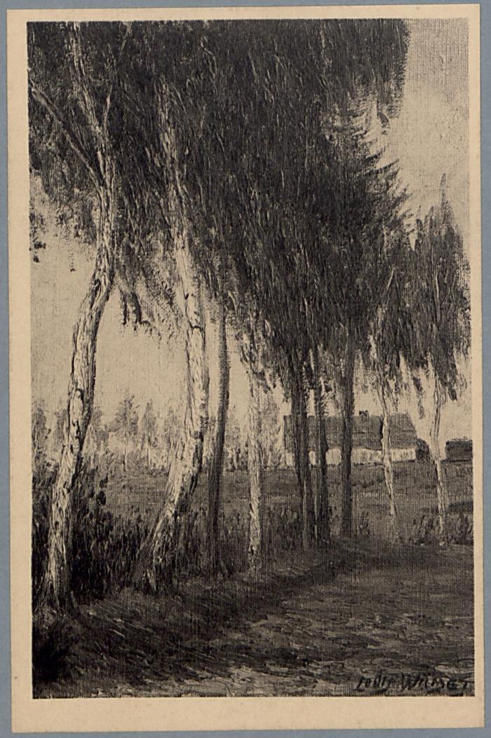 Omstreken - Westerloo - Environs. De Berkenboomen - Kipdorp - Les Bouleaux. (d'après le tableau de Louis Wilmet).