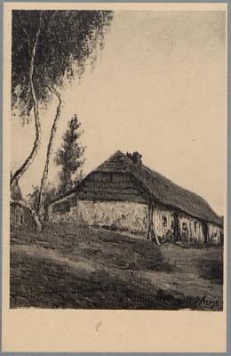 Omstreken - Westerloo - Environs. De oude berken - Kipdorp - Les vieux bouleaux. (d'après le tableau de Louis Wilmet).