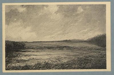 Moeras, onweder - Blauberg - Marais, orage. (d'après le tableau de Louis Wilmet).