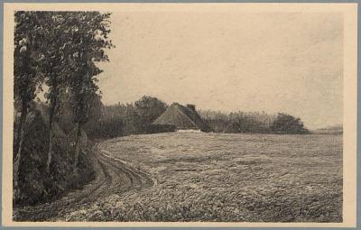 Omstreken - Westerloo - Environs. Regen - Kipdorp - Pluie. (d'après le tableau de Louis Wilmet).