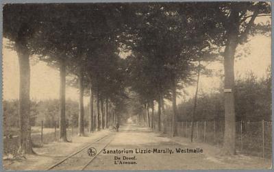 Sanatorium Lizzie-Marsily, Westmalle De Dreef. L'Avenue.